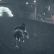 Image for article titled The Good, New Assassin's Creed Expansion's Unexpectedly Bold Depiction Of Prostitution